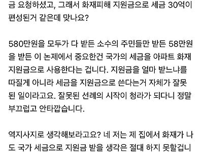 전기차 화재 피해자 지원금이 세금으로 나갈 예정이라 맘카페 반발중