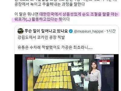 한국에 코카인 가공 공장이 발견됐다는 의미 ㅎㄷㄷㄷ 