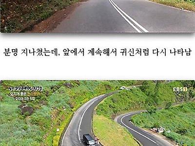 꽃을 팔며 생계유지하는 스리랑카 청년