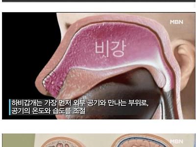 극단적 선택 사례까지 나온다는 비염수술 부작용.jpg