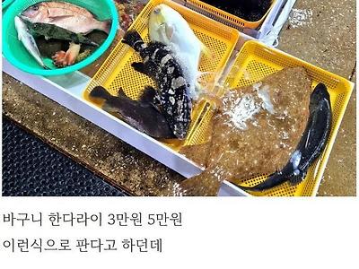 주문진시장 회 5만원어치