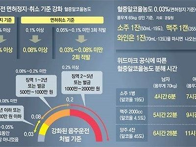 술 종류별 알콜 분해시간