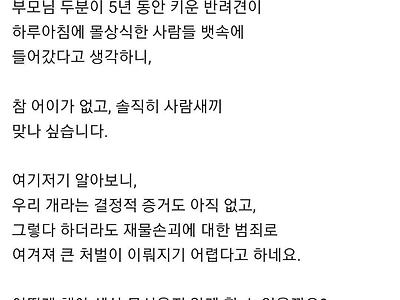 저희집 개를 윗집에서 훔쳐가 먹은 것 같습니다