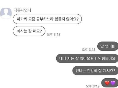 평소엔 지적인 새언니가 아가씨에게 보내는 카톡