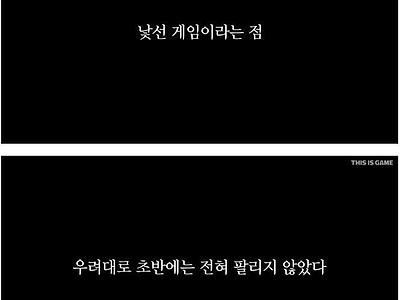 세상에서 제일 안팔릴 게임을 발매한 게임사