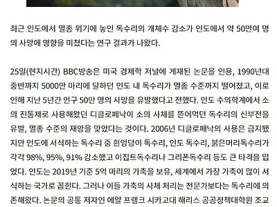 5000만마리 독수리가 98% 감소하면 일어나는 일