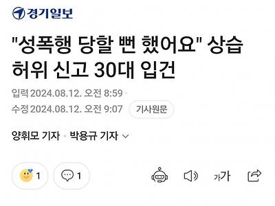 "성폭행 당할 뻔 했어요"상습 허위 신고 30대 입건.