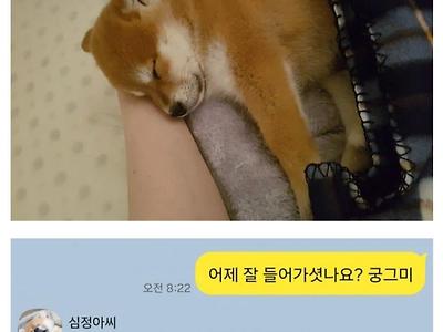 어느 디시인의 소개팅 후기