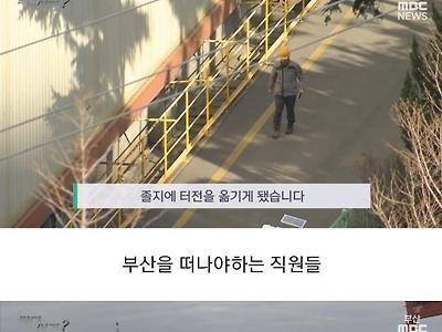 실시간으로 망해가는 부산 ㄷ.jpg