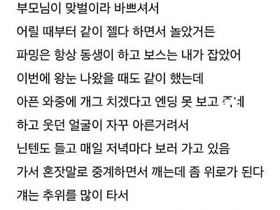 여동생 납골당 가서 닌텐도 하는 친오빠