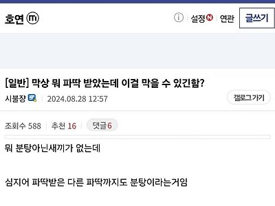 파딱 달자마자 분탕 막기를 포기한 이유