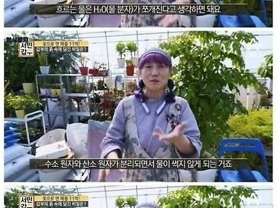 흐르는 물이 썩지 않는 이유