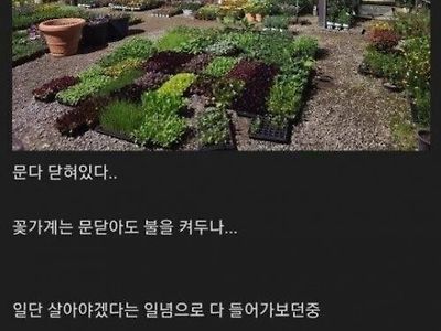 유부남 잊어먹은 결혼기념일 후기 ㄷㄷ