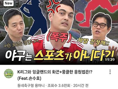 야구팬 반응이 걱정됐던 유튜브 채널.jpg