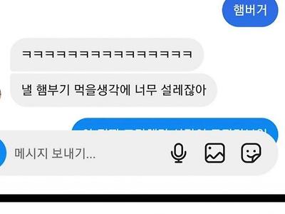 햄부기 사건 후기 