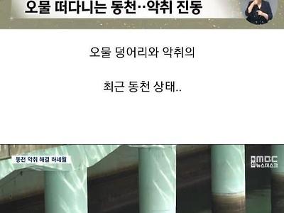 수질 정화에 실패한 부산의 갠지스강