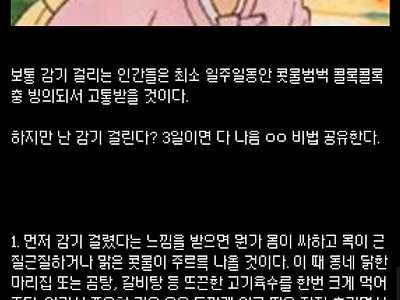 디시발 ㄹㅇ 감기 빨리 낫는 법....jpg