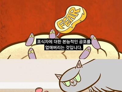 캣맘이 고양이를 좋아하는게 자의가 아닐수도 있는 이유.toon