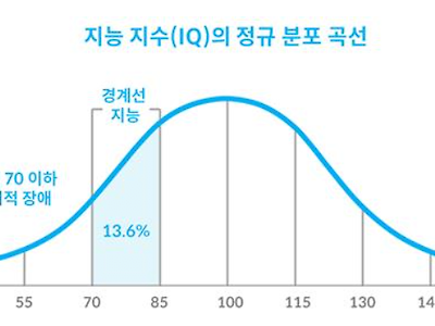 경계선 지능은 훈련을 통해 개선될 수도 있다 