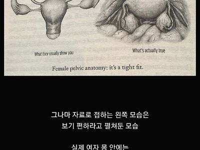 사람들이 잘 모르는 여자 자궁의 비밀