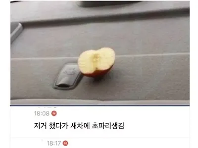 자동차 안 냄새를 없앨 때.jpg