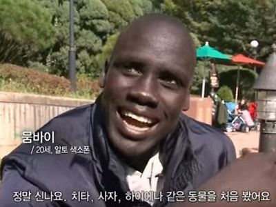 아프리카 사람이 한국에 와서 처음 본 것