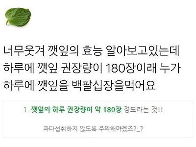 깻잎의 하루 권장량