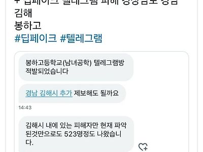 코미디 그 자체인 딥페이크 텔레그램 sns 제보