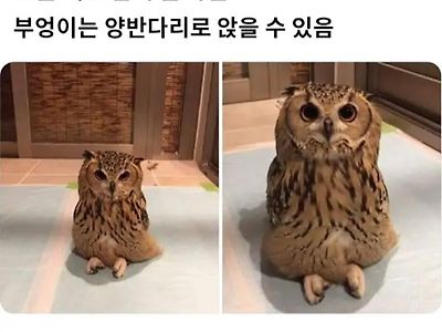 오늘 새로 알게 된 사실