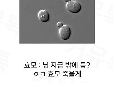 제과제빵 공부가 개빡치는이유.jpg