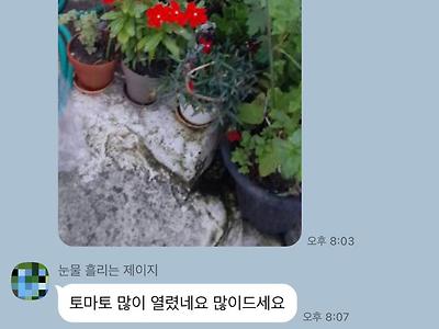 막내이모남편 단톡에서 자꾸 할머니 말 통역하는거 먼가 웃김