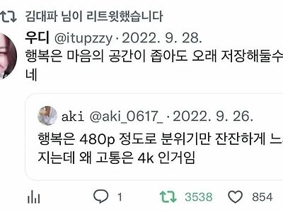 "왜 행복은 480p인데 고통은 4k인 거임?"