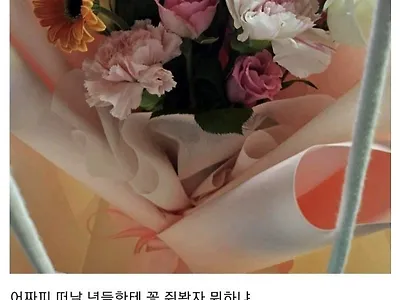 여자에게 꽃을 선물한 디시인