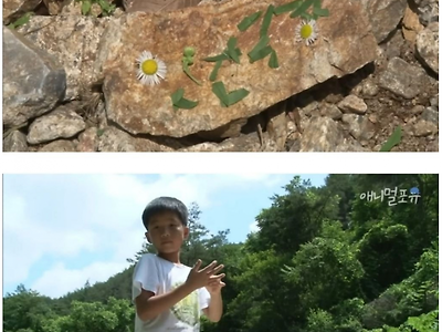 산골소년이 인간극장 제작진을 반겨주는 법