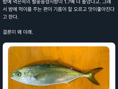 물고기에게 야식을 줘 봤더니