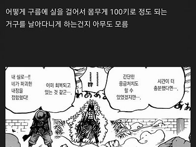 원피스) 다시봐도 사기적인 열매 능력