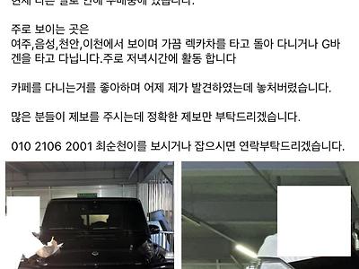 현상금 1000만원 걸린 벤츠 도난 사건