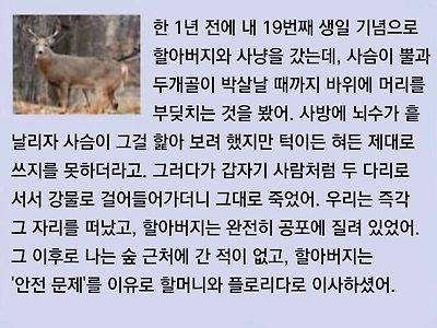 한때 해외에서 유행했던 괴담 