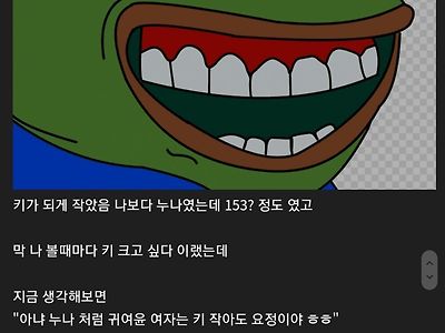 키작녀와 잠깐 사귀었던 디시인