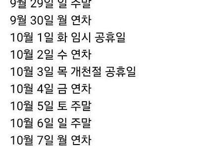 연차 5개로 12일 쉬는법.jpg