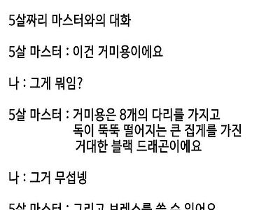 5살 마스터가 만든 스파이더 블랙드래곤