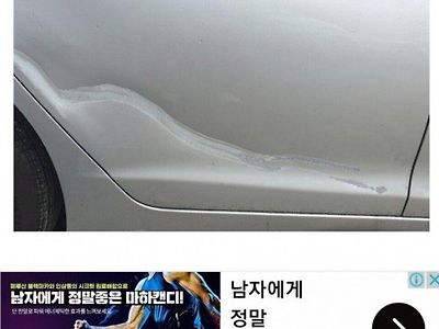 초보운전 차폭 감 잡는법