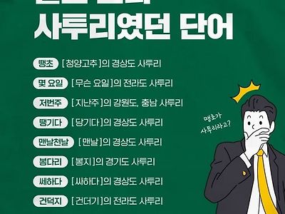 알고 보니 사투리였던 단어 