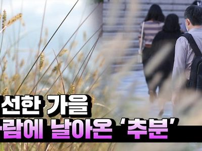 올해 어디로 도망갔는지 안보이는새끼