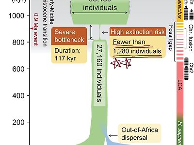 최근 사이언스지에 발표된 인류 역사상 최대의 위기였던 시기