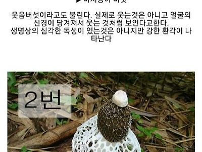 일반인이 버섯구별하는게 빡센 이유