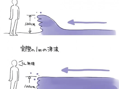 우리가 생각하는 쓰나미 vs 찐 쓰나미 