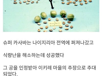 아프리카로 건너가 추장이 된 한국인 