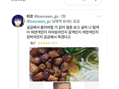 사이다를 포기하고 기꺼이 받은 강아지 사진