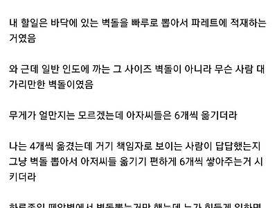 요즘 날씨에 노가다 첫경험 해본 후기